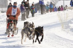 Lenk 2012 SM
